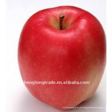 7,5 cm FUJI APPLE yantai